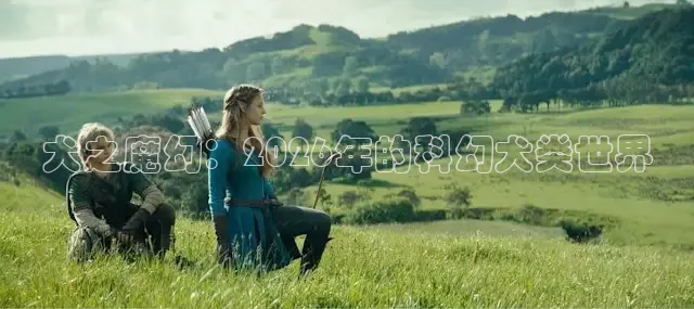 红杏视频在线观看