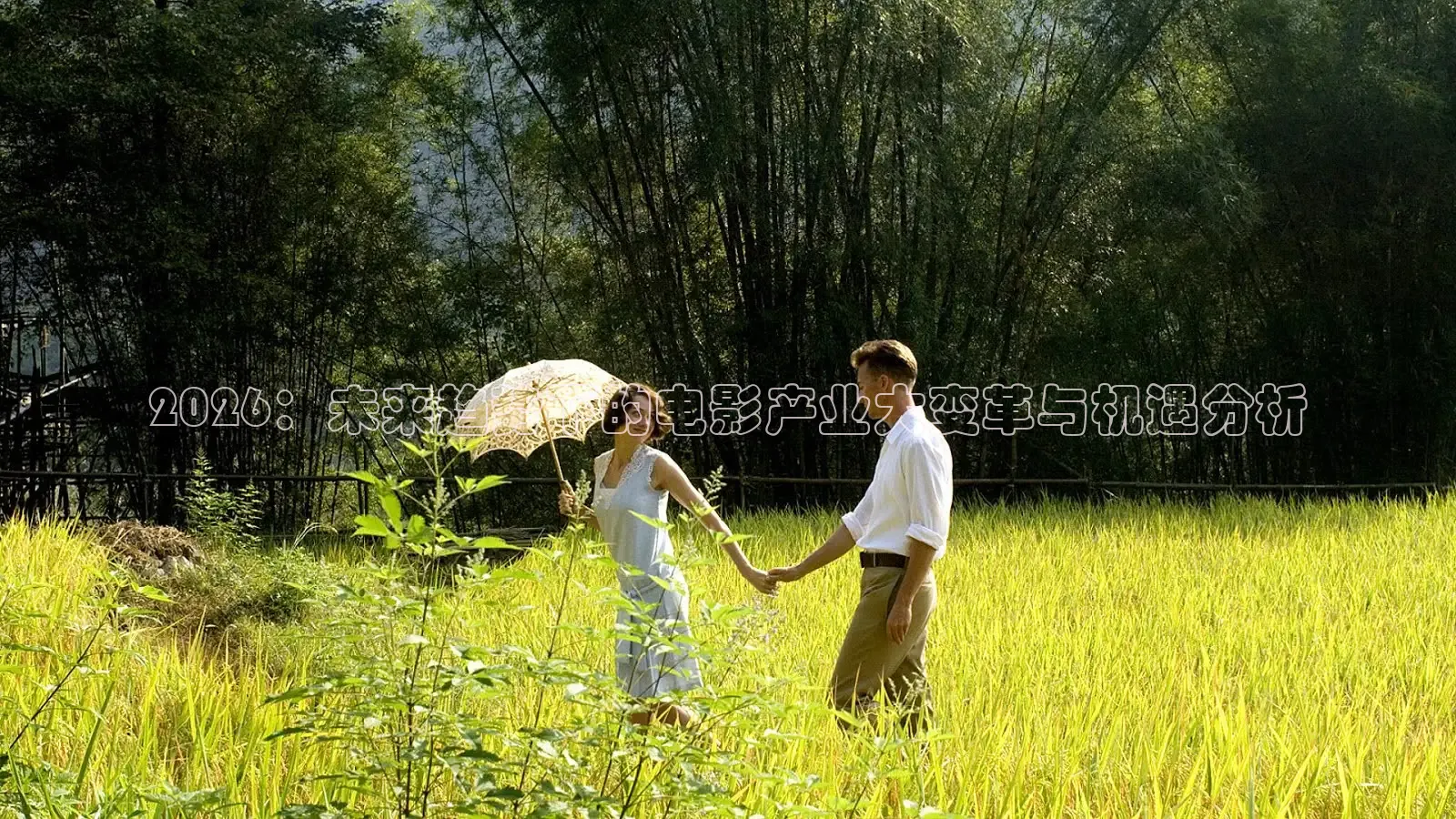 红杏视频下载